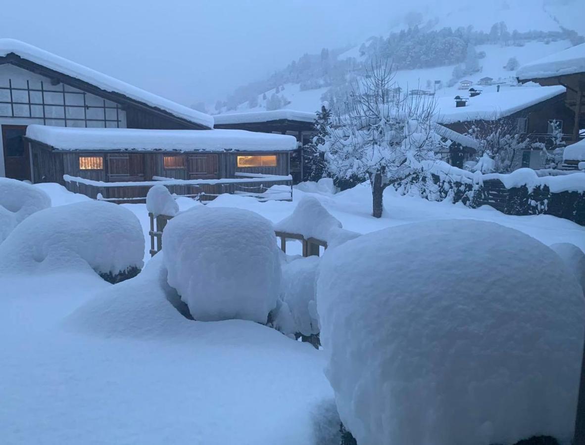 Appartement Alpenhof Wildschoenau Niederau Eksteriør billede