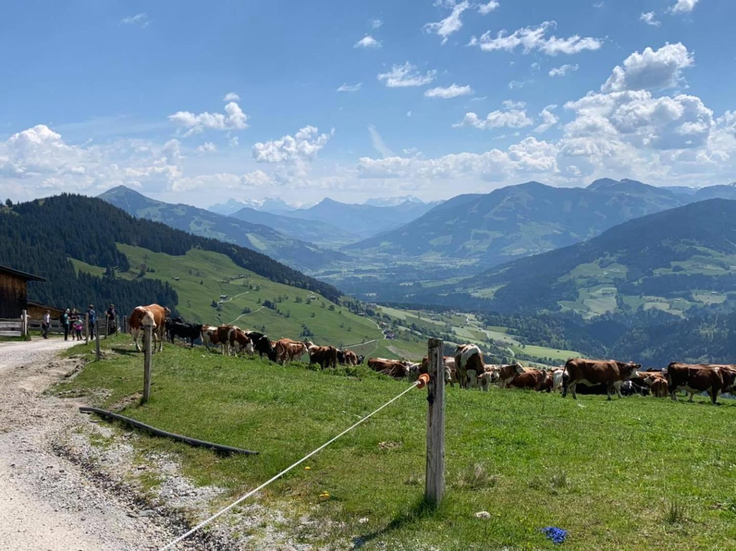 Appartement Alpenhof Wildschoenau Niederau Eksteriør billede