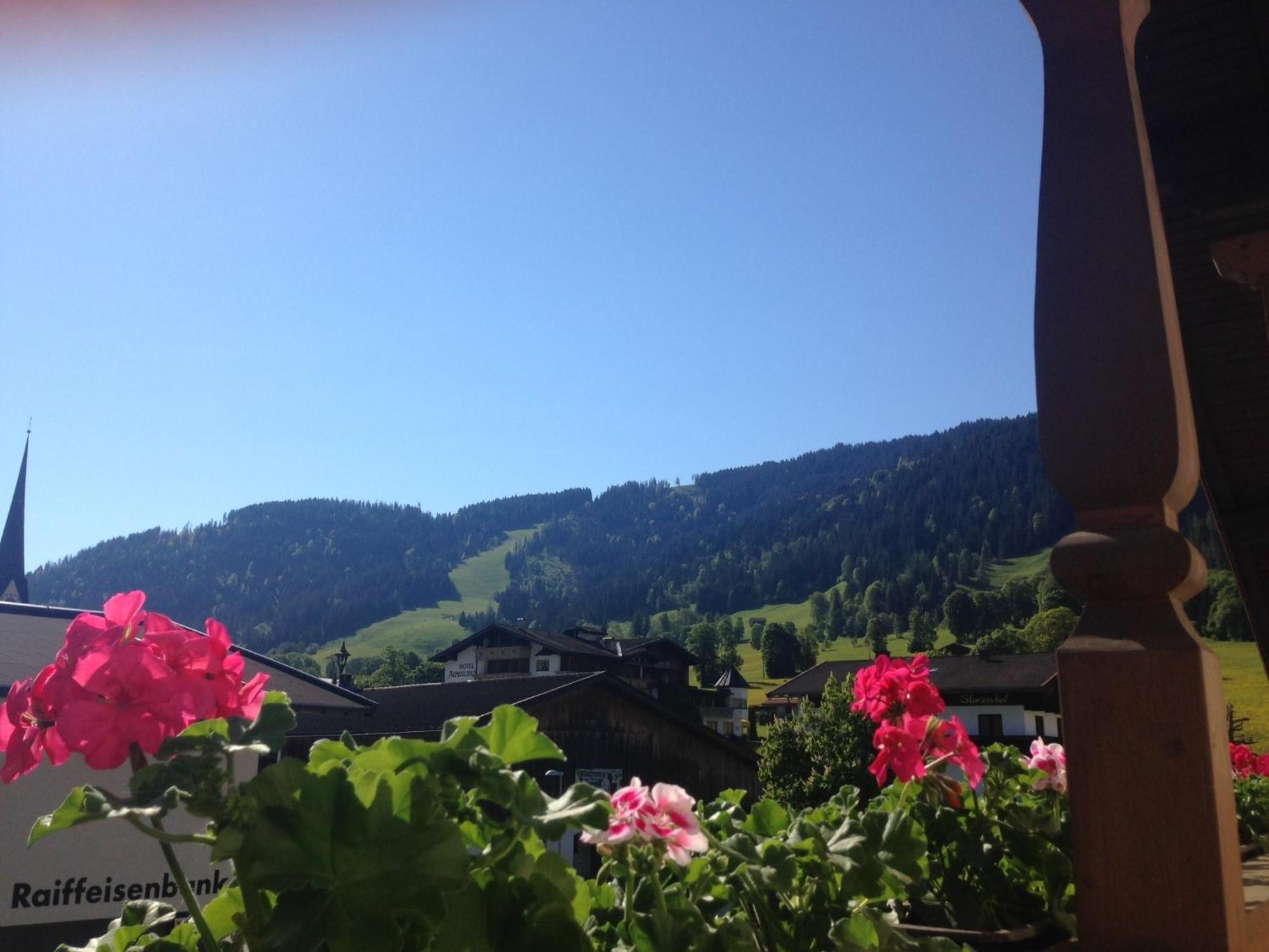 Appartement Alpenhof Wildschoenau Niederau Værelse billede