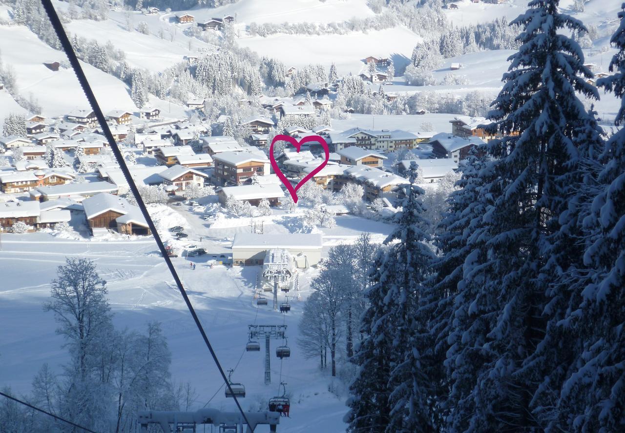 Appartement Alpenhof Wildschoenau Niederau Eksteriør billede